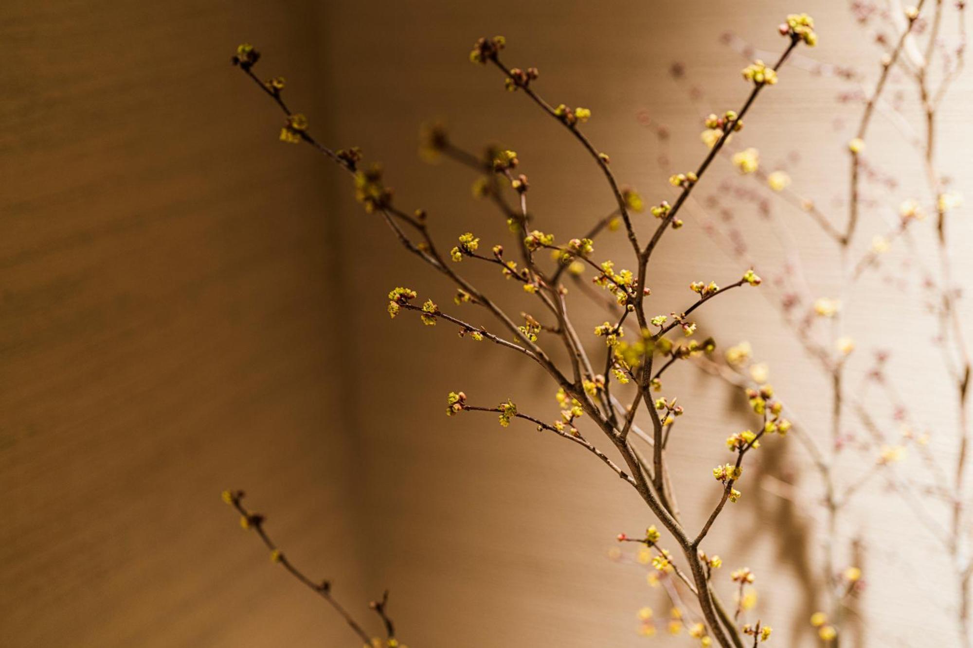 Shinzan Kinosaki Hotel Toyooka  Bagian luar foto